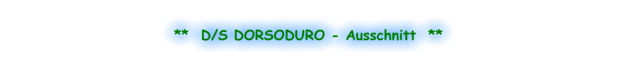 **  D/S DORSODURO - Ausschnitt  **