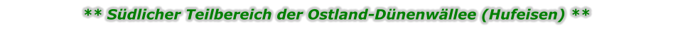 ** Südlicher Teilbereich der Ostland-Dünenwällee (Hufeisen) **