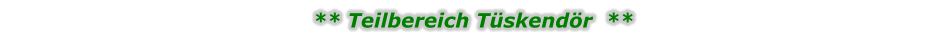 ** Teilbereich Tüskendör  **