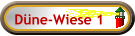 Düne-Wiese 1