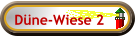 Düne-Wiese 2
