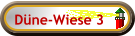 Düne-Wiese 3