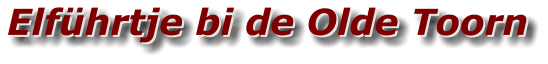 Elführtje bi de Olde Toorn Elführtje bi de Olde Toorn