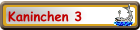 Kaninchen 3
